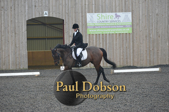 dressage-5864
