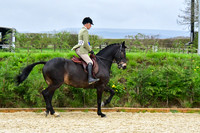 Horse Worker-Championship