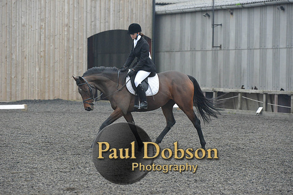dressage-5878