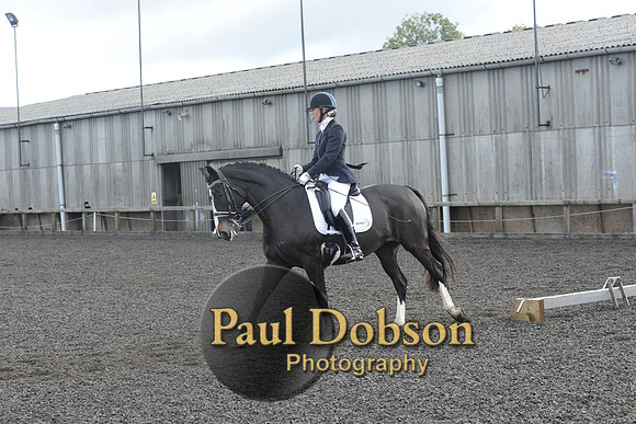 dressage-7290