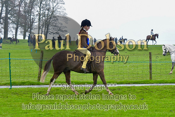 msh_8882b
