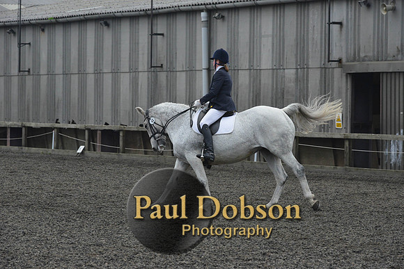 dressage-5743