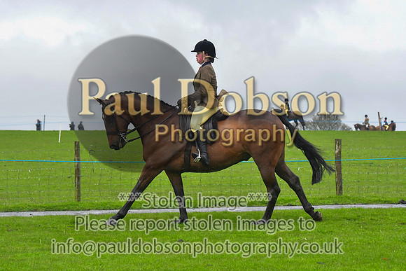 021_8136