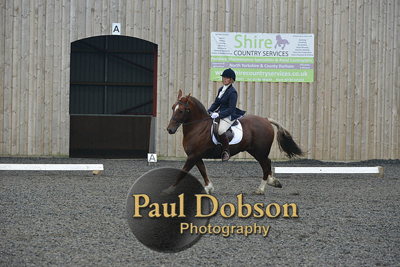 dressage-5436