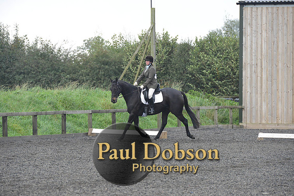 dressage-5203