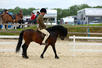 chm20014