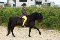 chm20009
