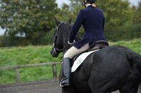 dressage-5899