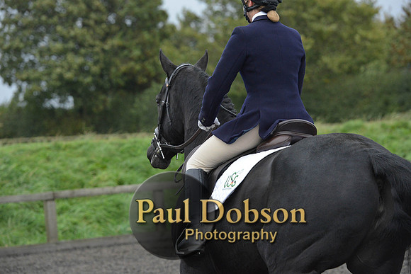 dressage-5899