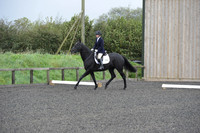 dressage-5895