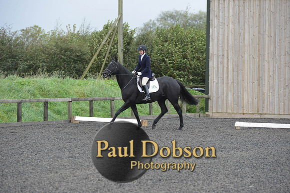 dressage-5895