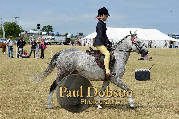 Lanchester-2096