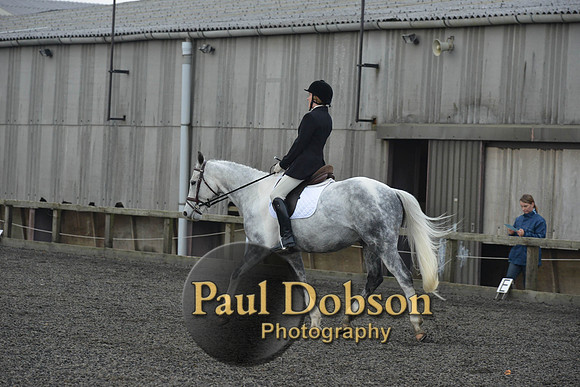 dressage-4566