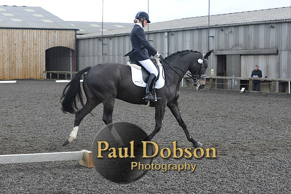 dressage-7274