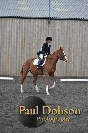 dressage-4516