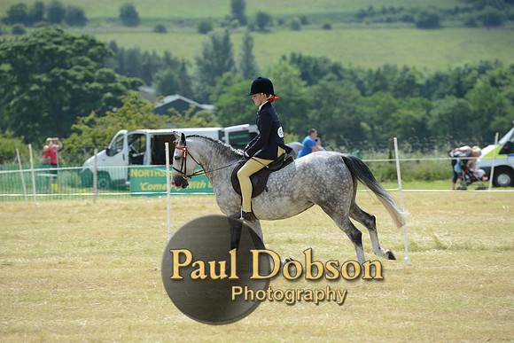 Lanchester-2081
