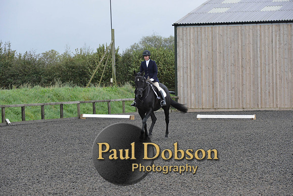 dressage-5891