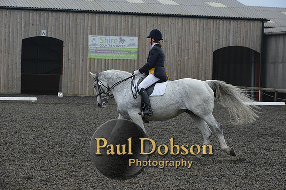 dressage-5741