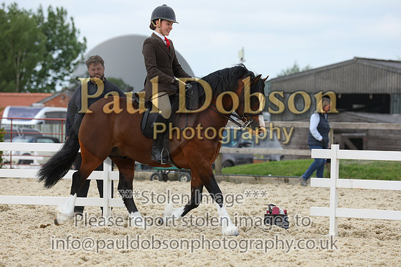 cl310135b