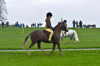 msh_8883b