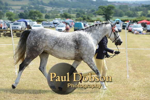 Lanchester-2105