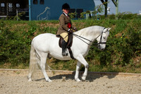 chm30590b