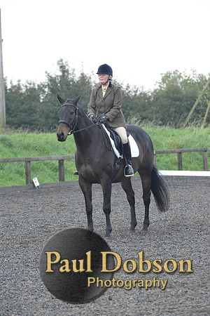 dressage-5198