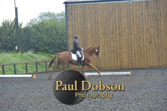dressage-6790