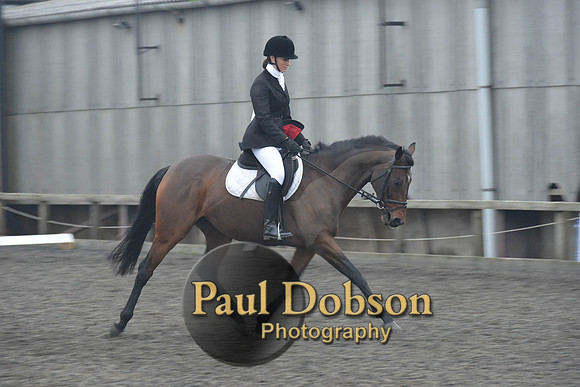 dressage-5858