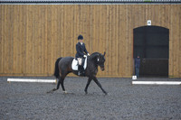 dressage-6588