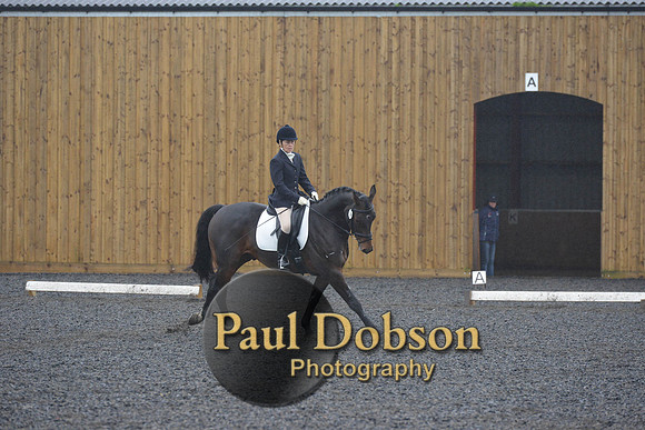 dressage-6588