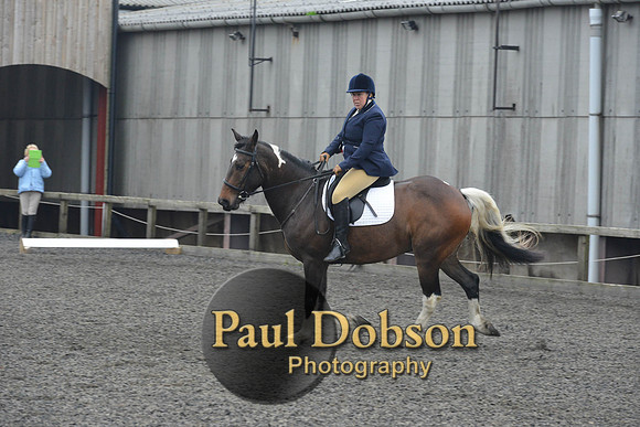 dressage-5703