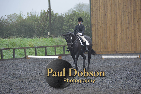 dressage-6577