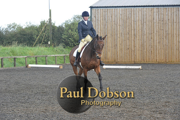 dressage-7273