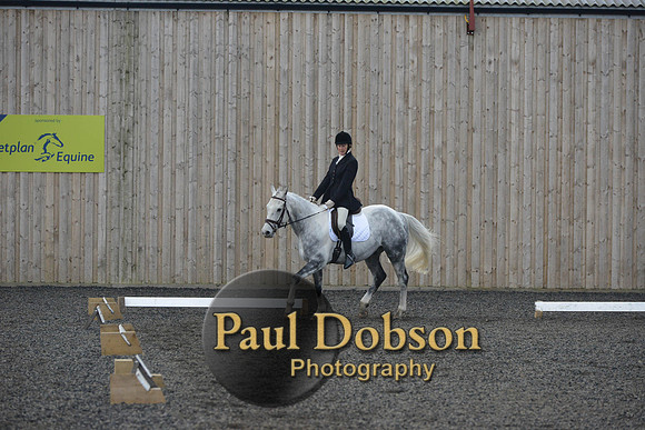 dressage-4538