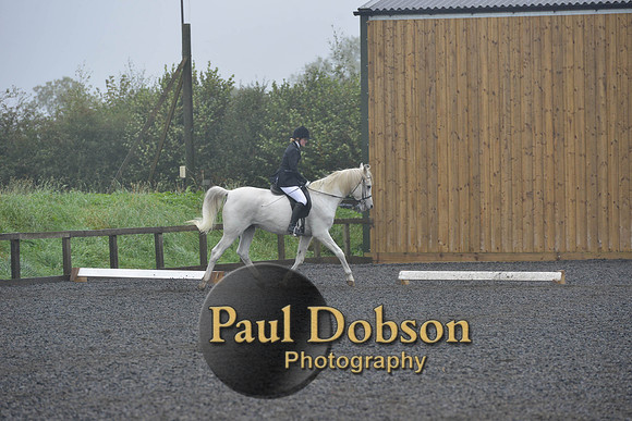 dressage-6501