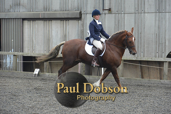 dressage-5444