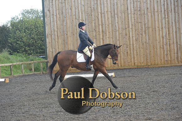 dressage-7301