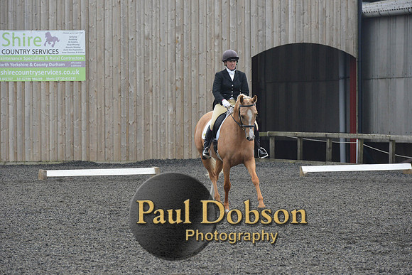 dressage-5748