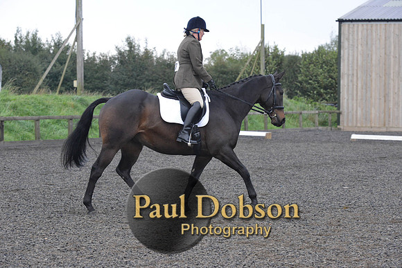 dressage-5182