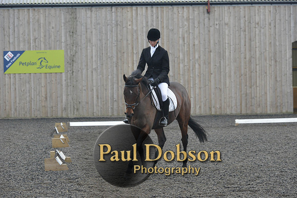 dressage-5853