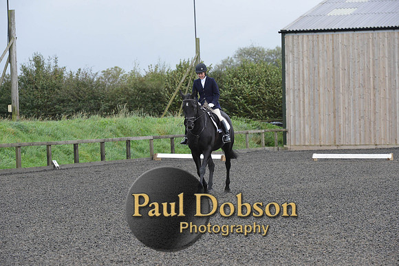 dressage-5892