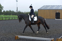 dressage-6586
