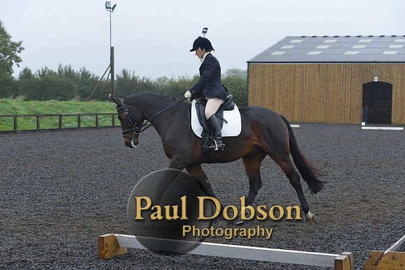 dressage-6586