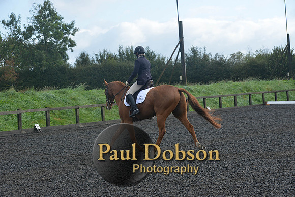 dressage-6781