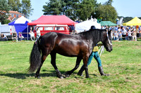 c11_1299