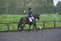 dressage-6587