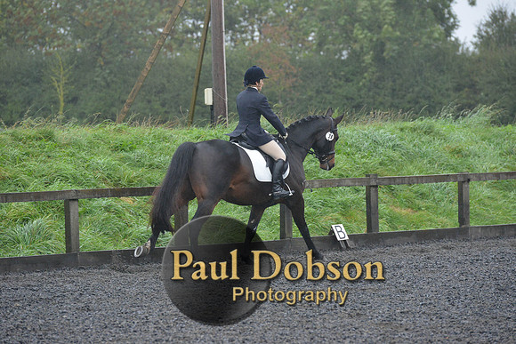 dressage-6587