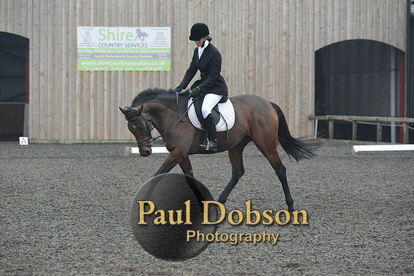 dressage-5879