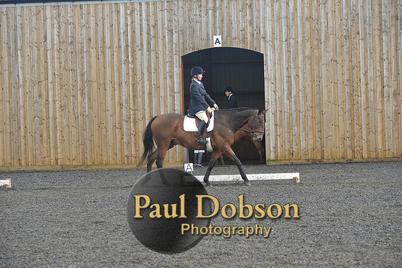 dressage-7276